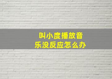 叫小度播放音乐没反应怎么办