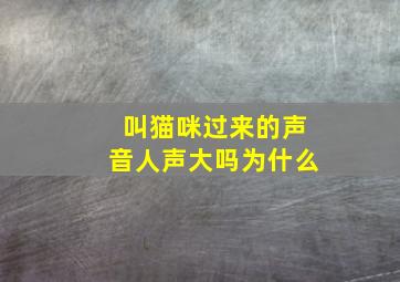 叫猫咪过来的声音人声大吗为什么