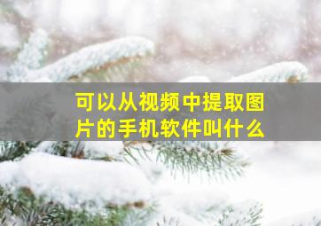 可以从视频中提取图片的手机软件叫什么