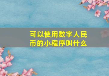 可以使用数字人民币的小程序叫什么