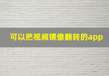 可以把视频镜像翻转的app