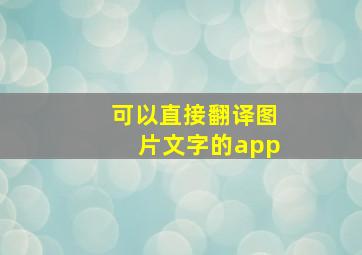 可以直接翻译图片文字的app