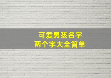 可爱男孩名字两个字大全简单