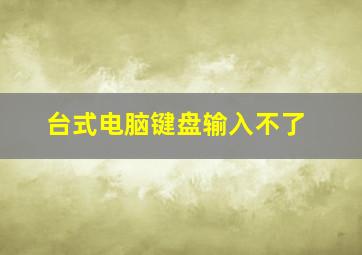 台式电脑键盘输入不了