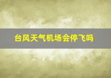 台风天气机场会停飞吗