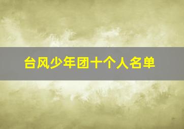 台风少年团十个人名单