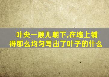 叶尖一顺儿朝下,在墙上铺得那么均匀写出了叶子的什么