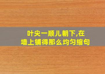 叶尖一顺儿朝下,在墙上铺得那么均匀缩句