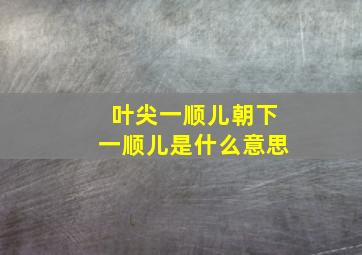 叶尖一顺儿朝下一顺儿是什么意思