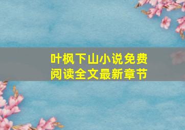 叶枫下山小说免费阅读全文最新章节