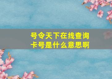 号令天下在线查询卡号是什么意思啊