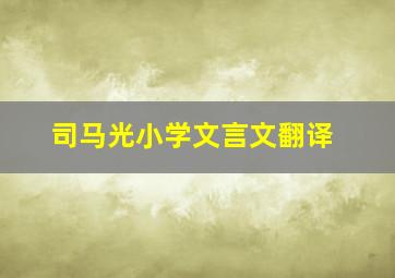 司马光小学文言文翻译