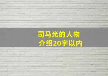 司马光的人物介绍20字以内