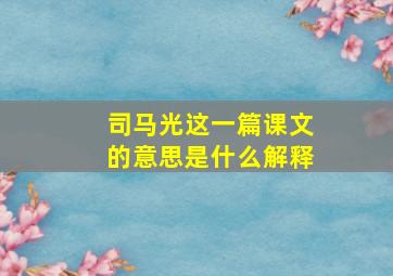 司马光这一篇课文的意思是什么解释