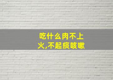 吃什么肉不上火,不起痰咳嗽