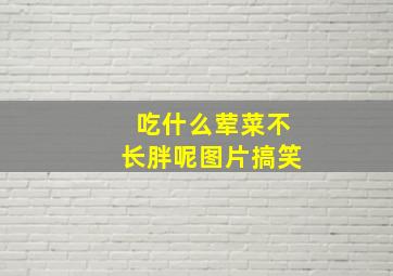 吃什么荤菜不长胖呢图片搞笑