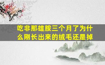 吃非那雄胺三个月了为什么刚长出来的绒毛还是掉