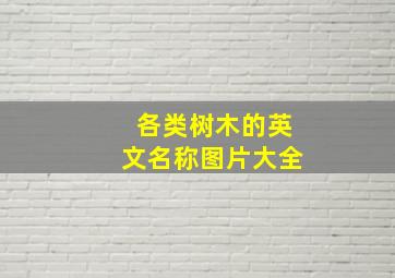 各类树木的英文名称图片大全