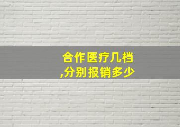 合作医疗几档,分别报销多少