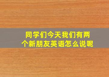 同学们今天我们有两个新朋友英语怎么说呢