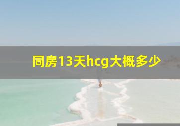 同房13天hcg大概多少