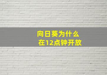 向日葵为什么在12点钟开放