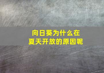 向日葵为什么在夏天开放的原因呢