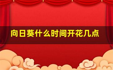 向日葵什么时间开花几点