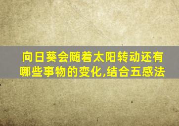 向日葵会随着太阳转动还有哪些事物的变化,结合五感法