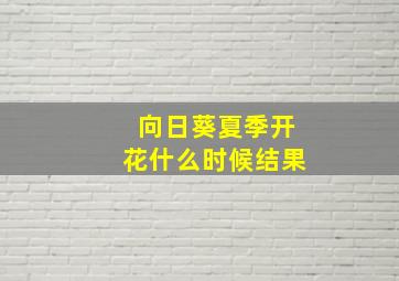 向日葵夏季开花什么时候结果