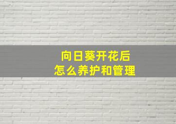 向日葵开花后怎么养护和管理