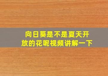 向日葵是不是夏天开放的花呢视频讲解一下