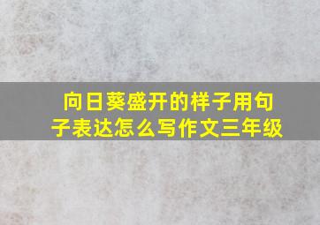 向日葵盛开的样子用句子表达怎么写作文三年级