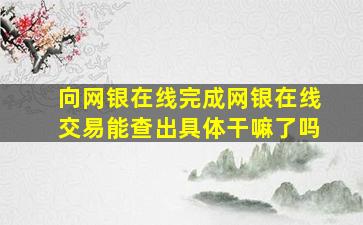 向网银在线完成网银在线交易能查出具体干嘛了吗