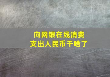 向网银在线消费支出人民币干啥了