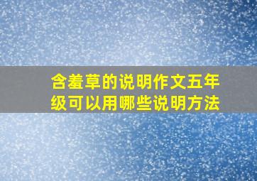 含羞草的说明作文五年级可以用哪些说明方法