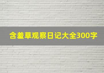 含羞草观察日记大全300字