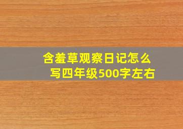 含羞草观察日记怎么写四年级500字左右