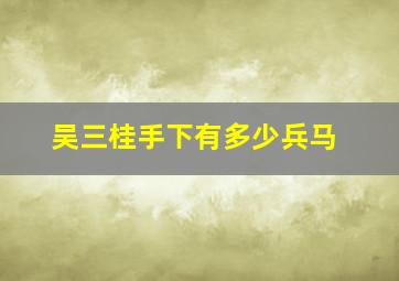 吴三桂手下有多少兵马