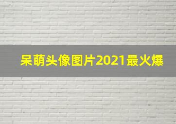 呆萌头像图片2021最火爆