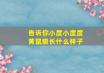 告诉你小度小度度黄鼠狼长什么样子