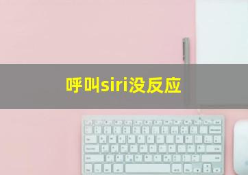 呼叫siri没反应