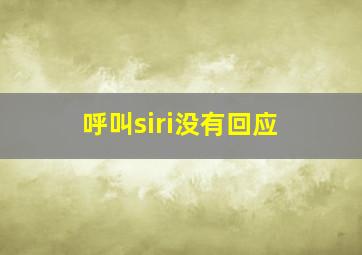 呼叫siri没有回应