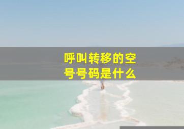 呼叫转移的空号号码是什么