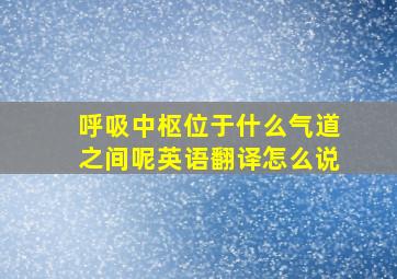 呼吸中枢位于什么气道之间呢英语翻译怎么说