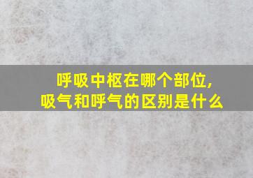 呼吸中枢在哪个部位,吸气和呼气的区别是什么