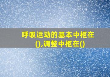 呼吸运动的基本中枢在(),调整中枢在()