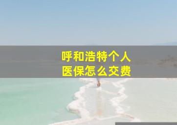 呼和浩特个人医保怎么交费