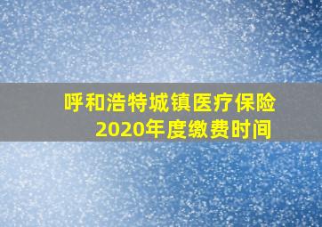 呼和浩特城镇医疗保险2020年度缴费时间