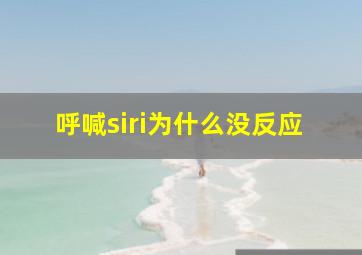 呼喊siri为什么没反应